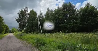 Grundstück in Selenogradsk, Russland