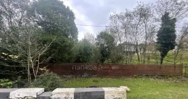 Działka w Zugdidi, Gruzja