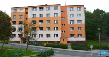 Квартира 3 комнаты в Чарнкув, Польша