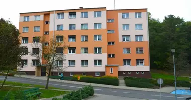 Appartement 3 chambres dans Czarnkow, Pologne