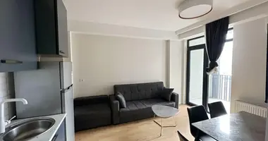 2 bedroom apartment in Tbilisi, Georgia