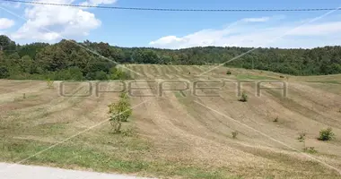 Plot of land in Krnjak, Croatia