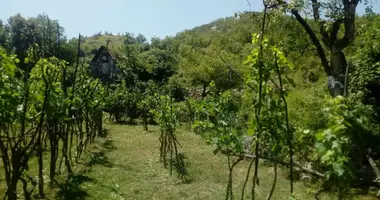 Terrain dans Cetinje, Monténégro