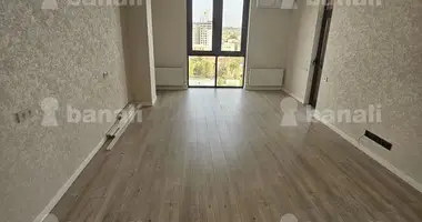 1 bedroom apartment in Yerevan, Armenia