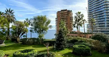 3 bedroom apartment in Monaco