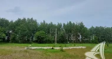 Grundstück in Radvanicki sielski Saviet, Weißrussland