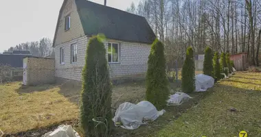 House in Zabalocki sielski Saviet, Belarus