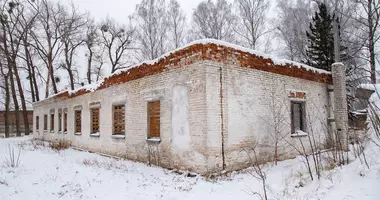 Geschäft 231 m² in Baranawitschy, Weißrussland