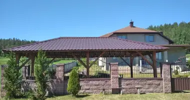 House in Rakauski sielski Saviet, Belarus