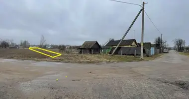 Участок земли в Туринский сельский Совет, Беларусь