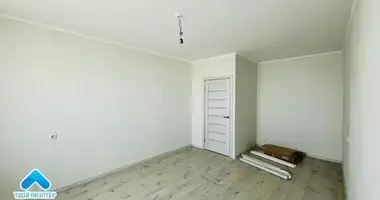 Wohnung 1 zimmer in Masyr, Belarus