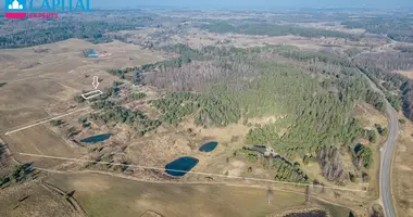 Plot of land in Matukiskes, Lithuania