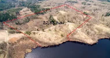 Plot of land in Pajuodikys, Lithuania