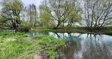 Дом в Озерицко-Слободской сельский Совет, Беларусь