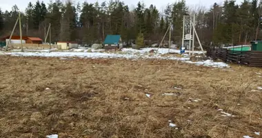 Parcela en Syaskelevskoe selskoe poselenie, Rusia