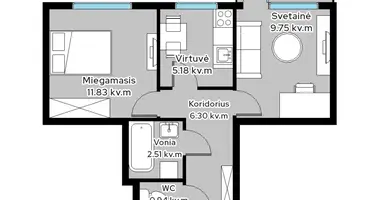 Apartamento 2 habitaciones en Kaunas, Lituania