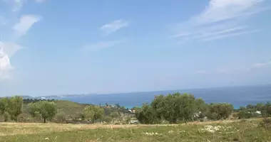 Terrain dans Polychrono, Grèce