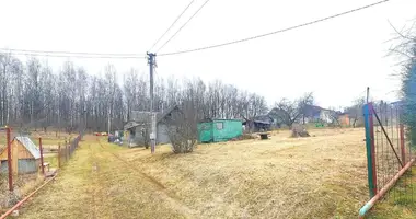 Grundstück in Zabalocki siel ski Saviet, Weißrussland