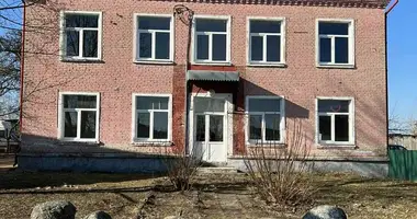 Commercial property 377 m² in Radun, Belarus