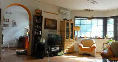 6 room house in Budapest, Hungary