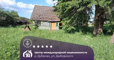 House in Dubrava, Belarus