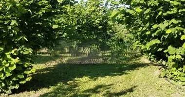 Chalet 1 chambre dans Belgrade, Serbie