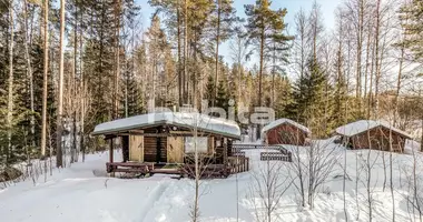 Cottage 1 bedroom in Kuopio sub-region, Finland