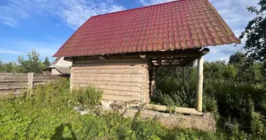 House in Putcynski sielski Saviet, Belarus