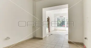 4 room house in Zagreb, Croatia