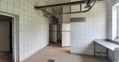 Коммерческое помещение 150 м² в Ибрань, Венгрия