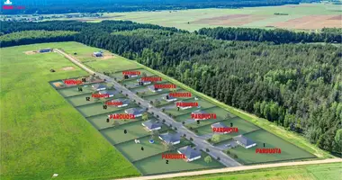 Plot of land in Naujasis Tarpupis, Lithuania