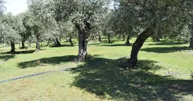 Parcela en Skala Sotiros, Grecia