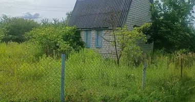 House in Bluzski sielski Saviet, Belarus