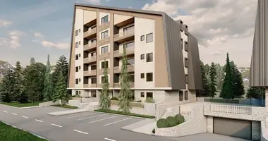 1 bedroom apartment in Kolasin, Montenegro