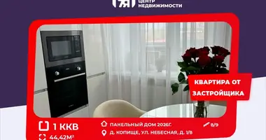 Wohnung 1 Zimmer in Kopisca, Weißrussland