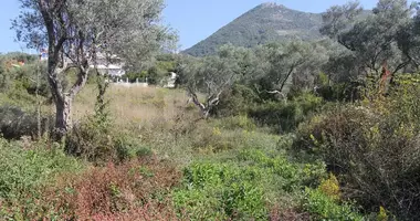 Terrain dans Polje, Monténégro