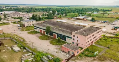 Manufacture 3 373 m² in Dobrush, Belarus