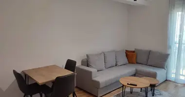 1 bedroom apartment in Montenegro