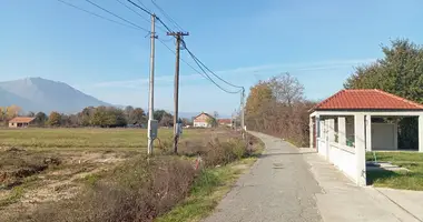 Terrain dans Municipalité de Danilovgrad, Monténégro