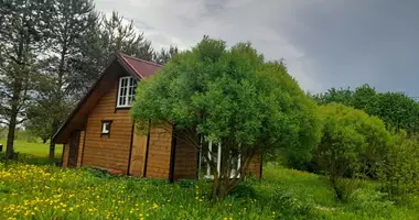 Casa 1 habitación en Syaskelevskoe selskoe poselenie, Rusia