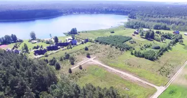 Grundstück in Vileikiai, Litauen