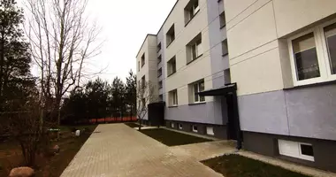 Wohnung 3 Zimmer in Gaiziunai, Litauen