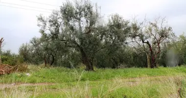 Plot of land in Psakoudia, Greece