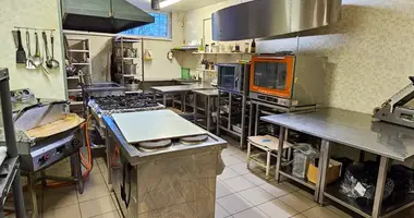 Propiedad comercial 130 m² en Kedainiai, Lituania