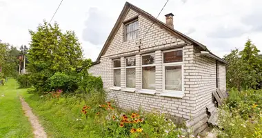 House in Zdanovicki sielski Saviet, Belarus