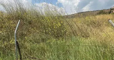 Terrain dans Agios Syllas, Grèce