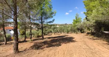 Parcela en Polygyros, Grecia