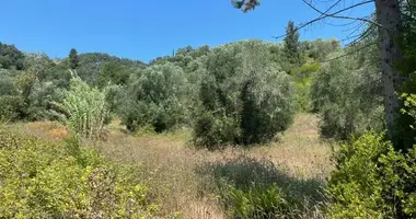 Plot of land in Magoulades, Greece