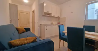 Mieszkanie 1 pokój w Rafailovici, Czarnogóra