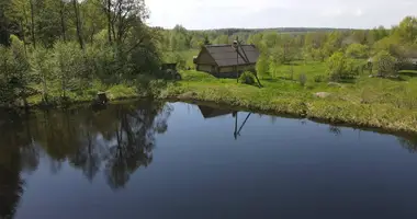 Дом в Райцевский сельский Совет, Беларусь